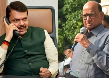 राज्यसभा निवडणूक 2026 शरद पवार भाजप